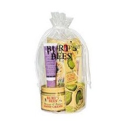 Burt's Bees Hand Repair Kit 3.16 oz ( 5 piece Kit)