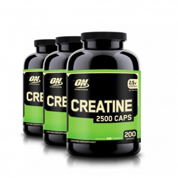 Optimum Nutrition Creatine | ON Creatine