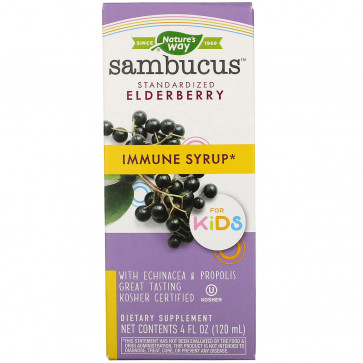 Nature's Way Sambucus Kids Berry 8 fl oz