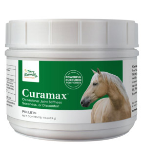 Terry Naturally Curamax Powerful Curcumin for Horses