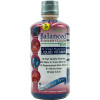 Wellgenix - Balanced Essentials Liquid Vitamin Berry (32 Ounces)