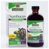 Nature's Answer Sambucus Original 8 fl oz