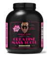 Healthy N Fit Creatine Mass 10,000 Vanilla Ice Cream 5 lbs
