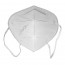 Face Mask KN95 Particle Respirator Rear View